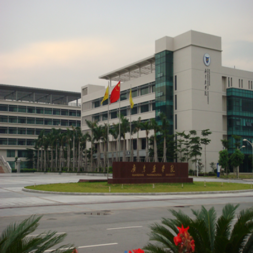 东药学院总校 （报告厅中控会议系统）