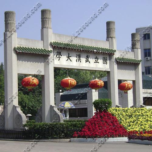 国立武汉大学( 视频会议系统)